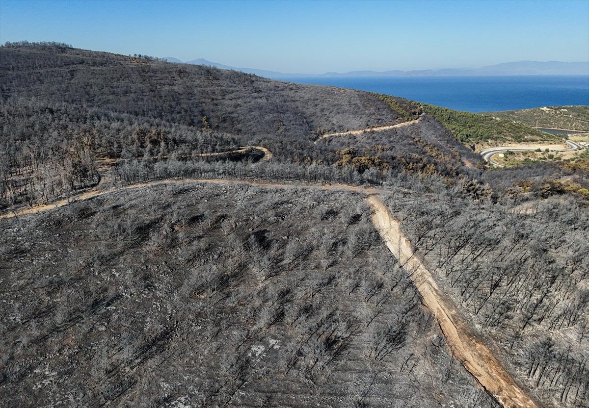 İzmir'de yangının ormana verdiği zarar gün yüzüne çıktı