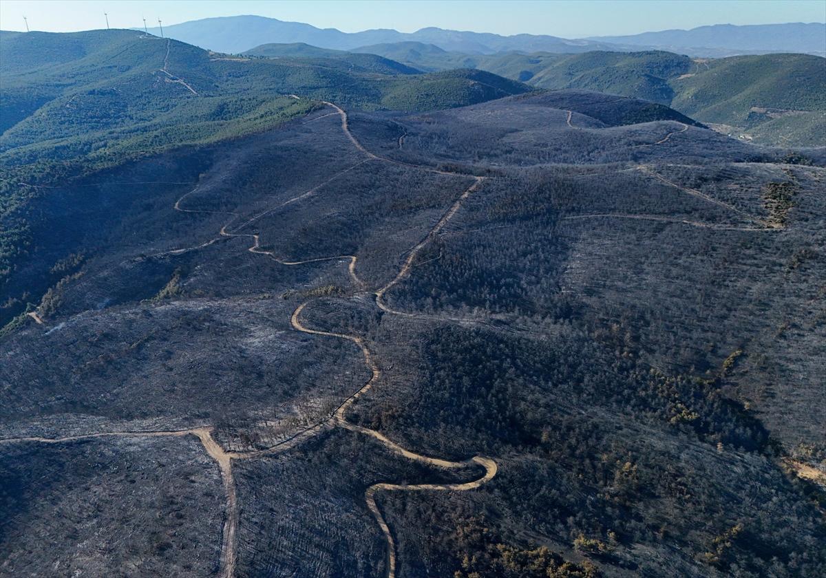 İzmir'de yangının ormana verdiği zarar gün yüzüne çıktı