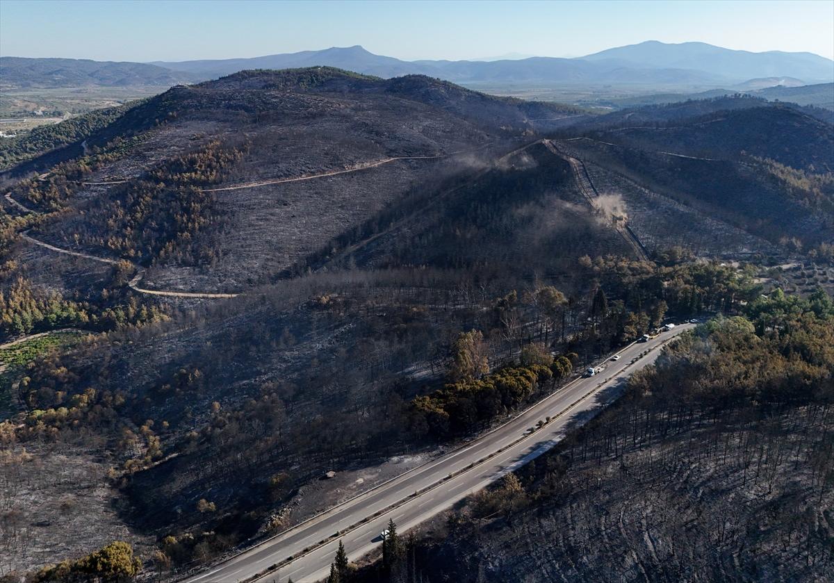 İzmir'de yangının ormana verdiği zarar gün yüzüne çıktı