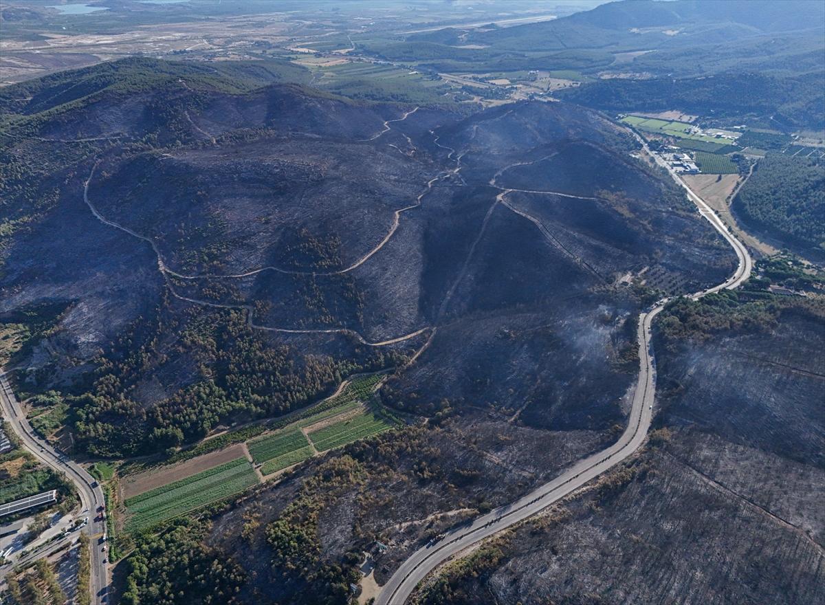 İzmir'de yangının ormana verdiği zarar gün yüzüne çıktı