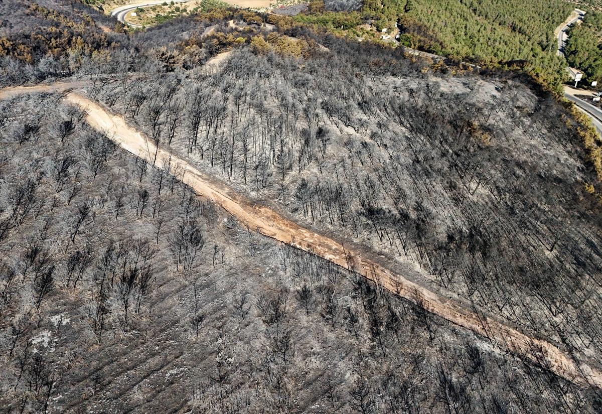 İzmir'de yangının ormana verdiği zarar gün yüzüne çıktı
