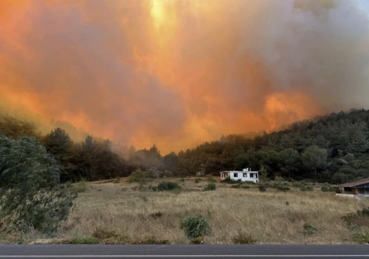 İzmir'de yangının ormana verdiği zarar gün yüzüne çıktı