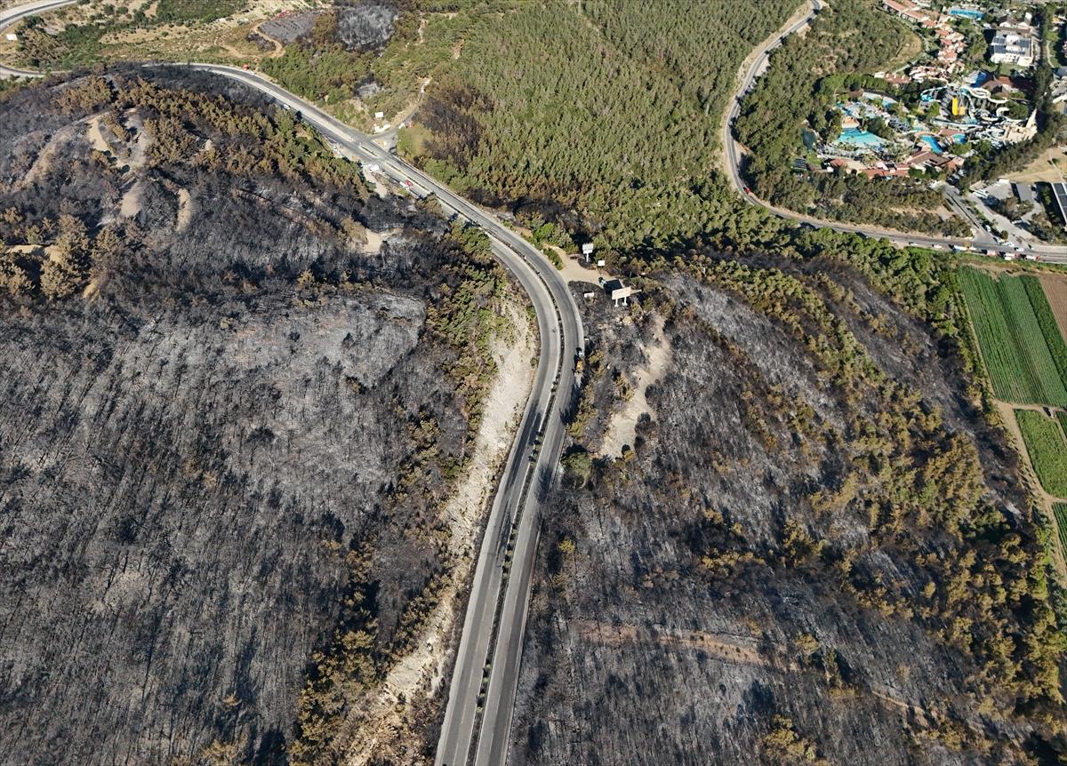 İzmir'de yangının ormana verdiği zarar gün yüzüne çıktı