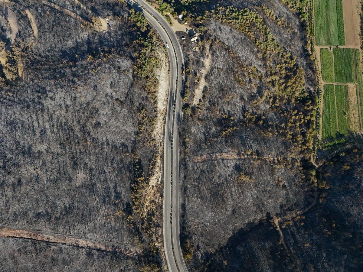 İzmir'de yangının ormana verdiği zarar gün yüzüne çıktı