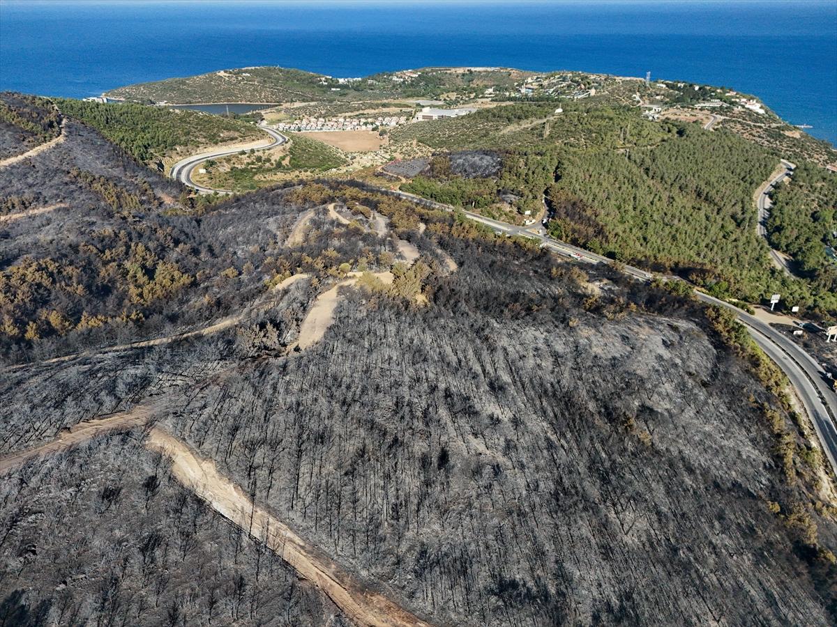 İzmir'de yangının ormana verdiği zarar gün yüzüne çıktı