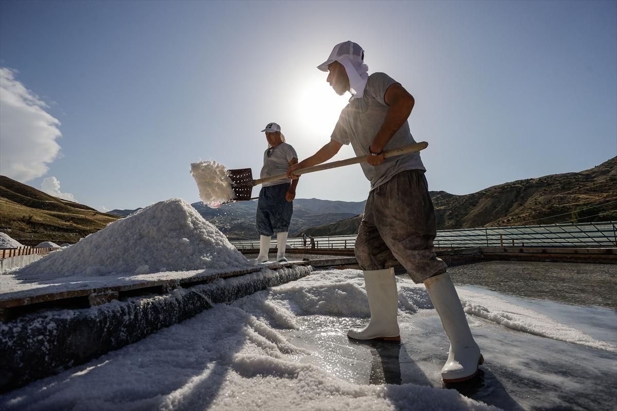 Tuz üreticilerinin hasat mesaisi
