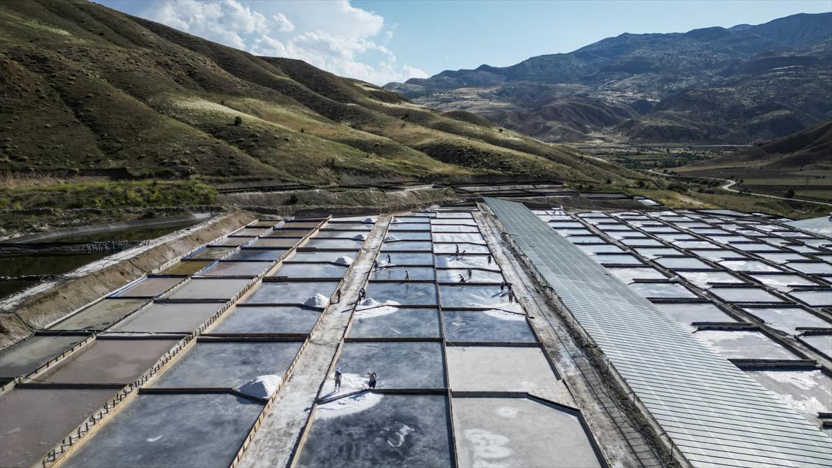 Tuz üreticilerinin hasat mesaisi