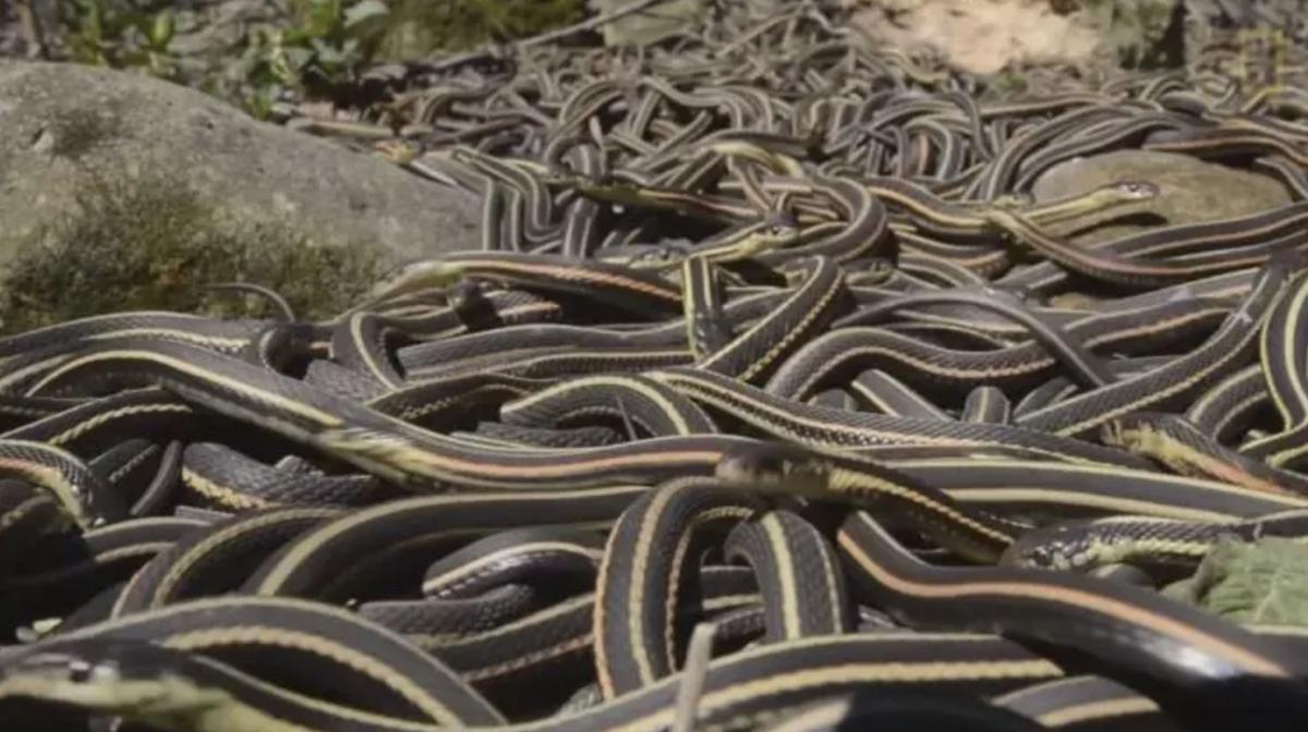 Buralara uğramayın! Dünyanın en tehlikeli bölgeleri