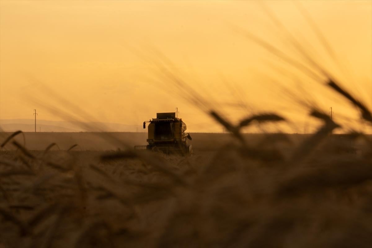 Konya'da uzay üssü gibi tarlalar
