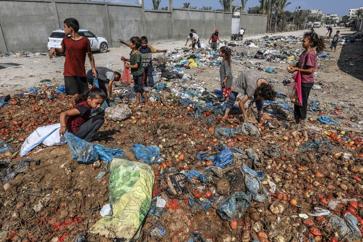 Gazze'de açlık felaketi