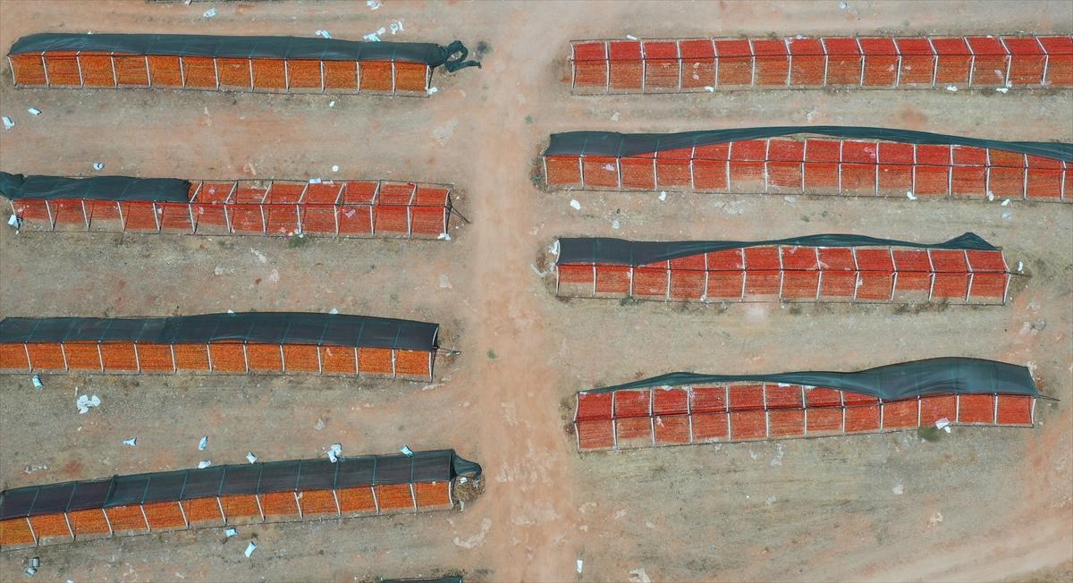 Gaziantep'te güneşte kurutlan sebzelerden rengarenk görüntüler