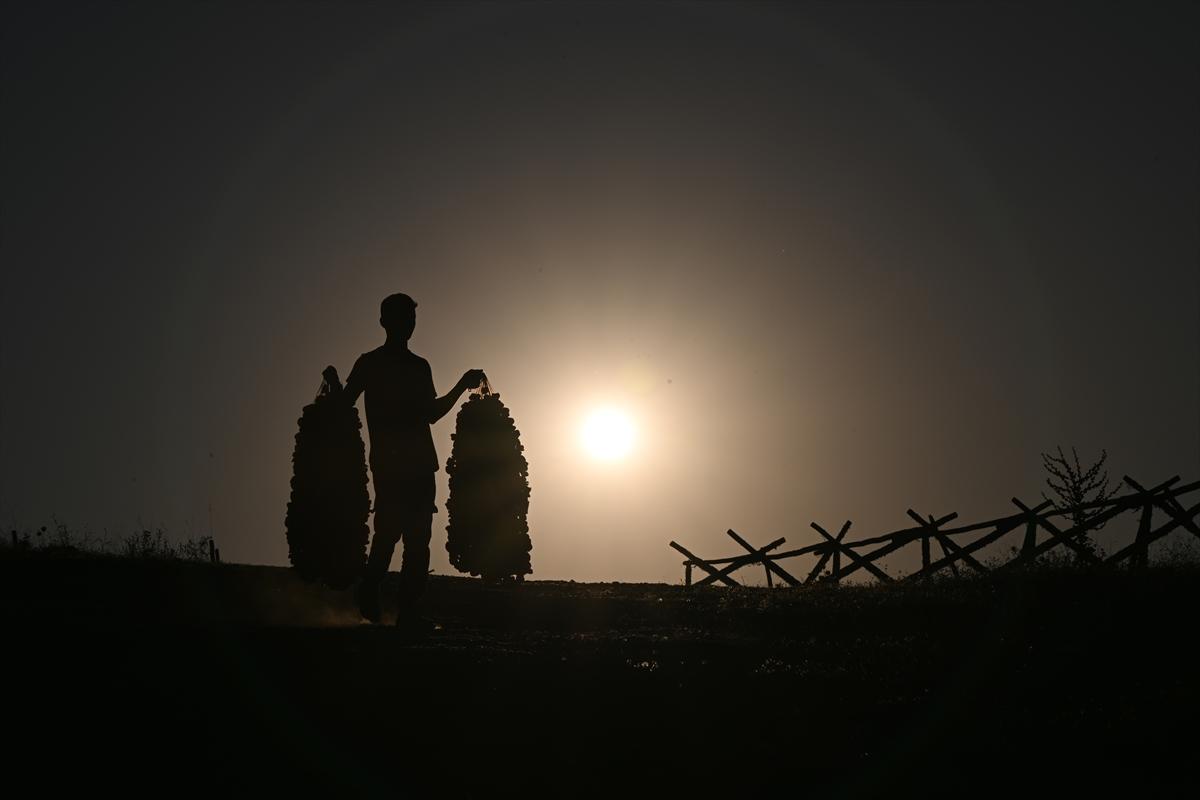 Gaziantep'te güneşte kurutlan sebzelerden rengarenk görüntüler