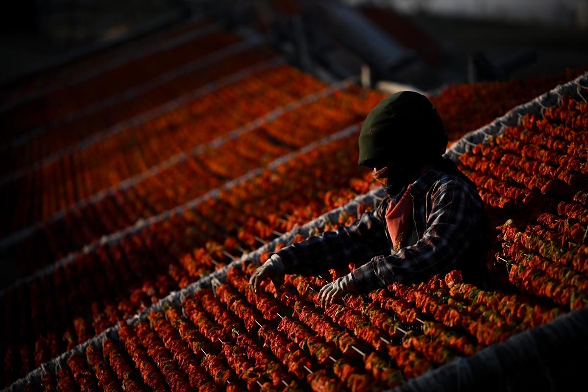 Gaziantep'te güneşte kurutlan sebzelerden rengarenk görüntüler