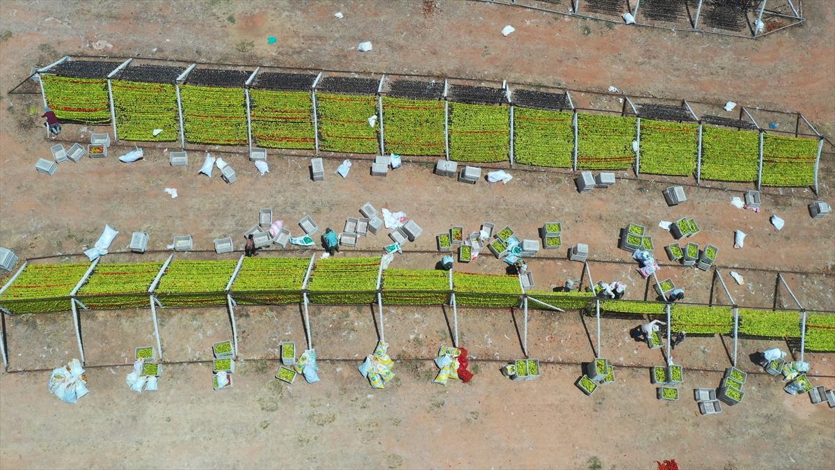 Gaziantep'te güneşte kurutlan sebzelerden rengarenk görüntüler