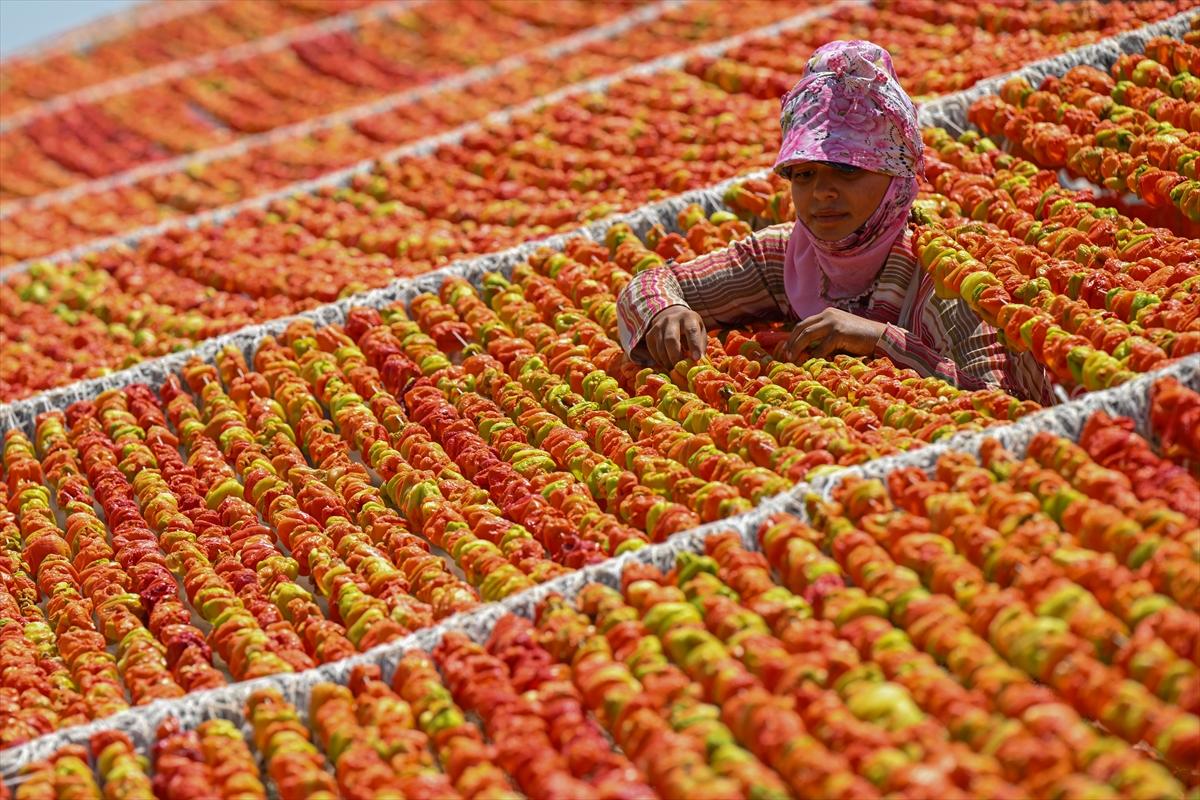 Gaziantep'te güneşte kurutlan sebzelerden rengarenk görüntüler