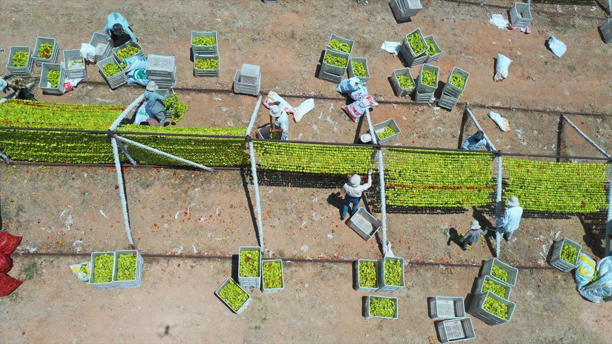 Gaziantep'te güneşte kurutlan sebzelerden rengarenk görüntüler