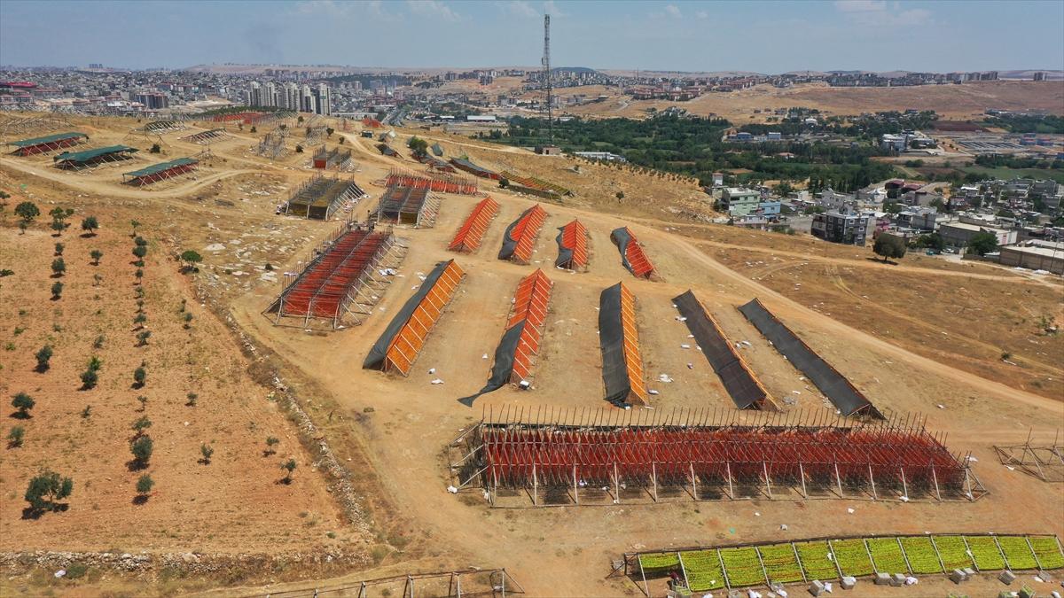 Gaziantep'te güneşte kurutlan sebzelerden rengarenk görüntüler