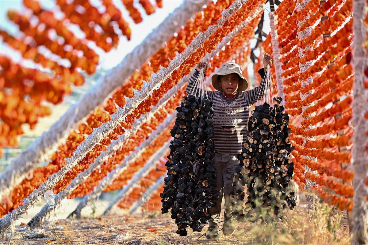 Gaziantep'te güneşte kurutlan sebzelerden rengarenk görüntüler