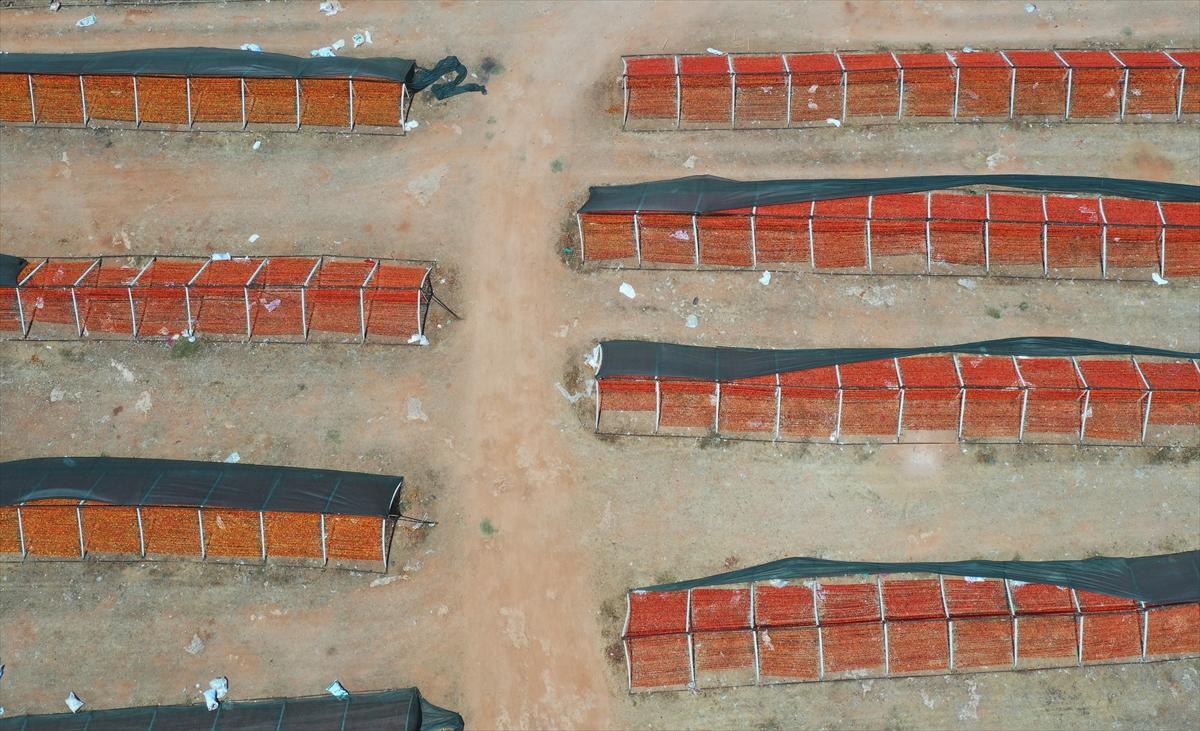 Gaziantep'te güneşte kurutlan sebzelerden rengarenk görüntüler