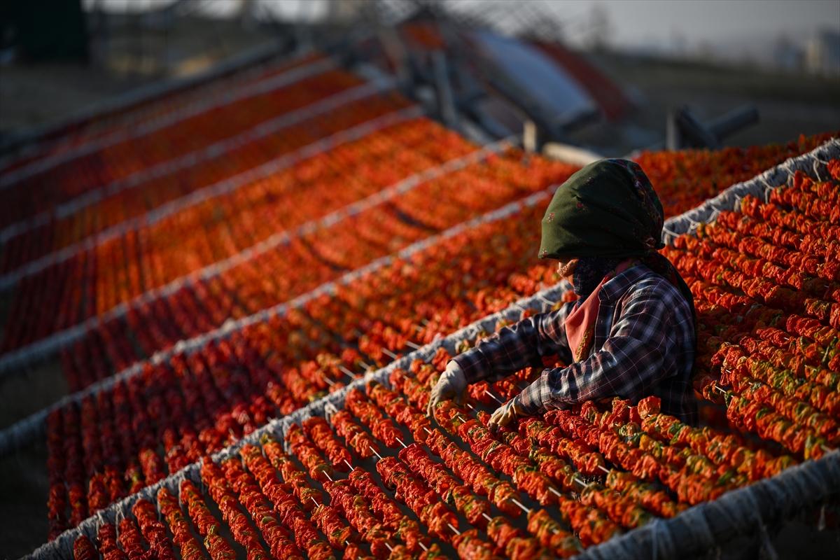 Gaziantep'te güneşte kurutlan sebzelerden rengarenk görüntüler