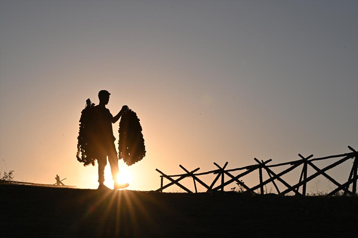 Gaziantep'te güneşte kurutlan sebzelerden rengarenk görüntüler