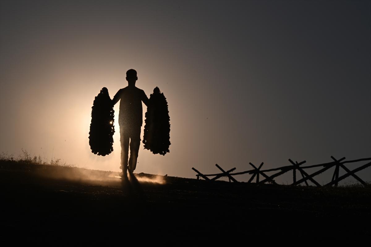 Gaziantep'te güneşte kurutlan sebzelerden rengarenk görüntüler