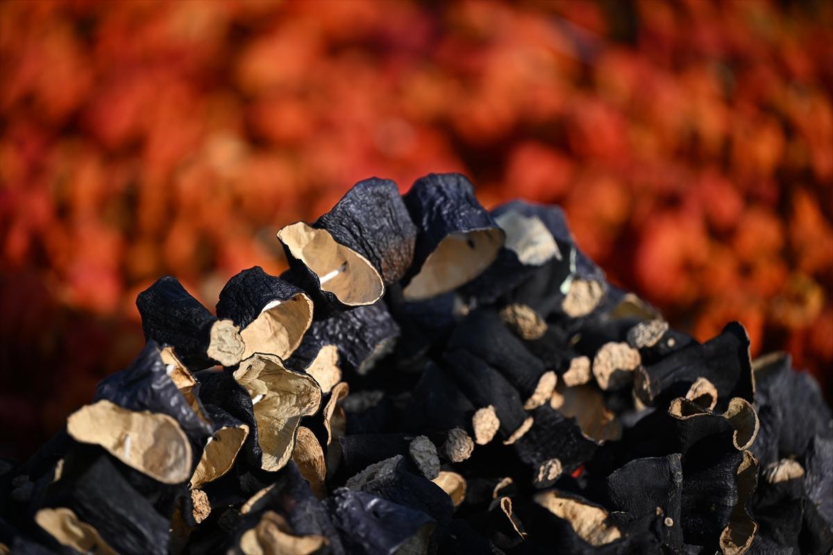 Gaziantep'te güneşte kurutlan sebzelerden rengarenk görüntüler