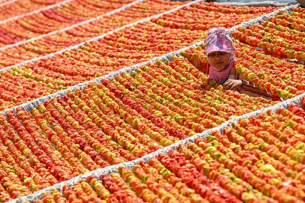 Gaziantep'te güneşte kurutlan sebzelerden rengarenk görüntüler
