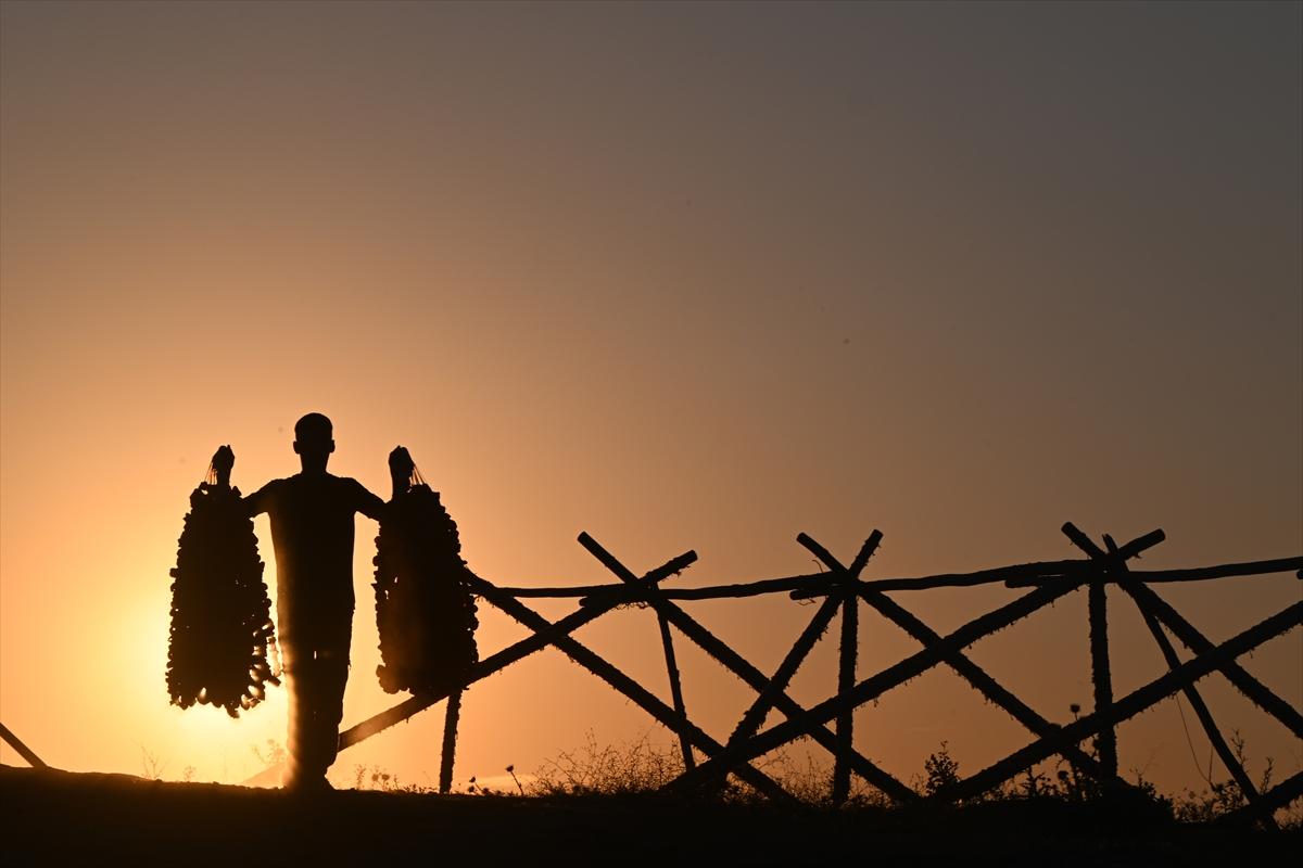 Gaziantep'te güneşte kurutlan sebzelerden rengarenk görüntüler