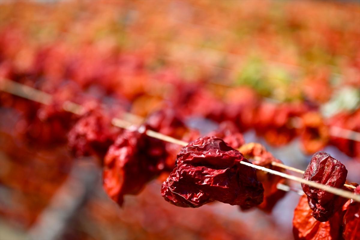 Gaziantep'te güneşte kurutlan sebzelerden rengarenk görüntüler