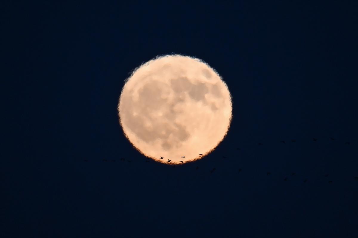 Temmuz dolunayı dünyanın birçok noktasında görüntülendi