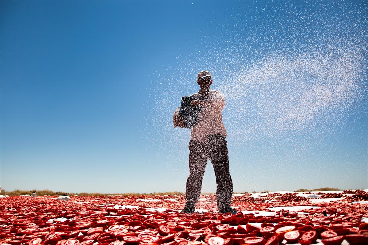 Diyarbakır'da domates kurutuma sezonu