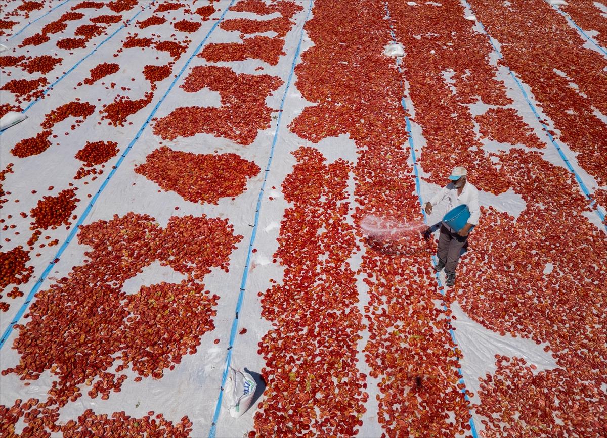 Diyarbakır'da domates kurutuma sezonu