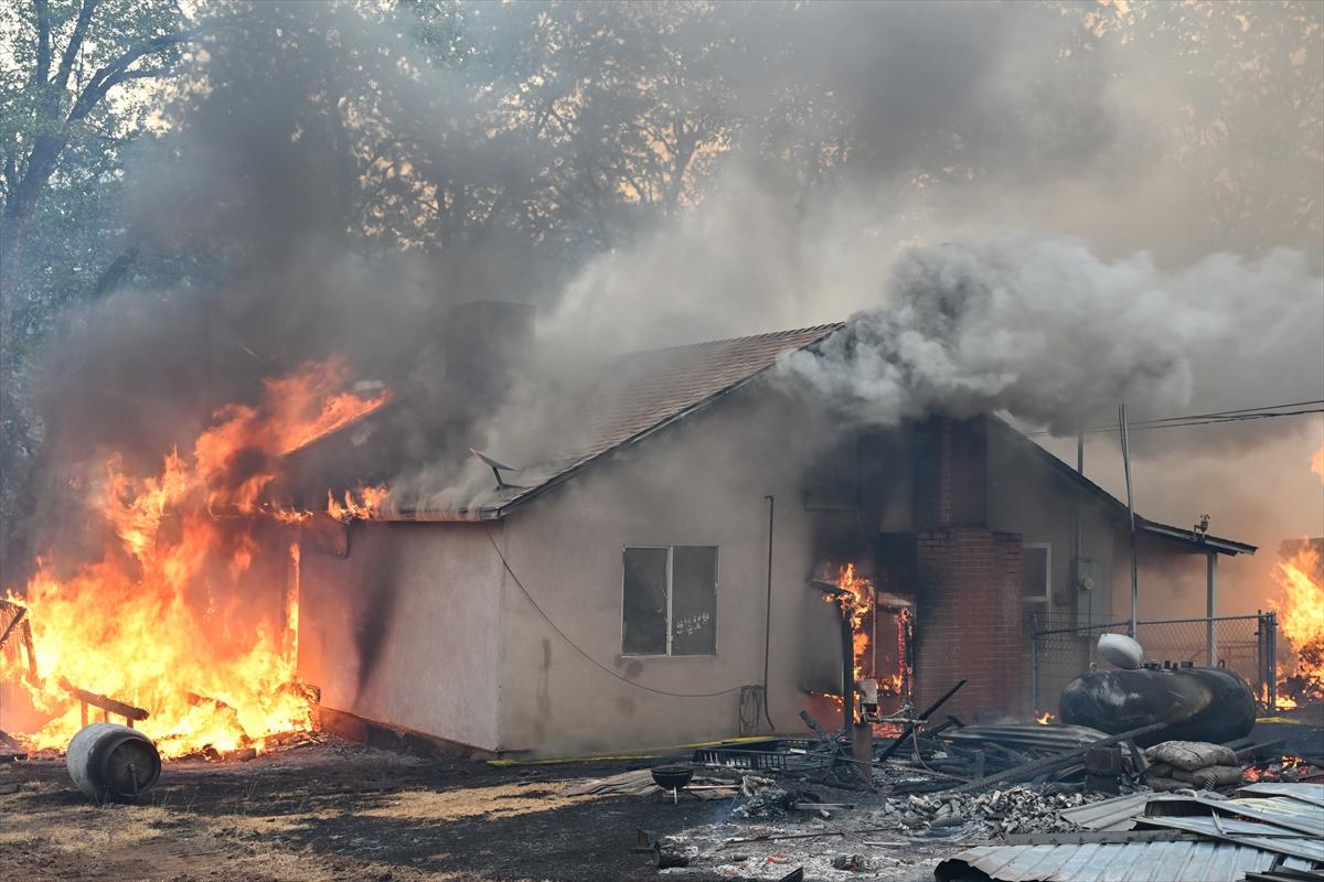 Kaliforniya'da orman yangınlarıyla mücadele