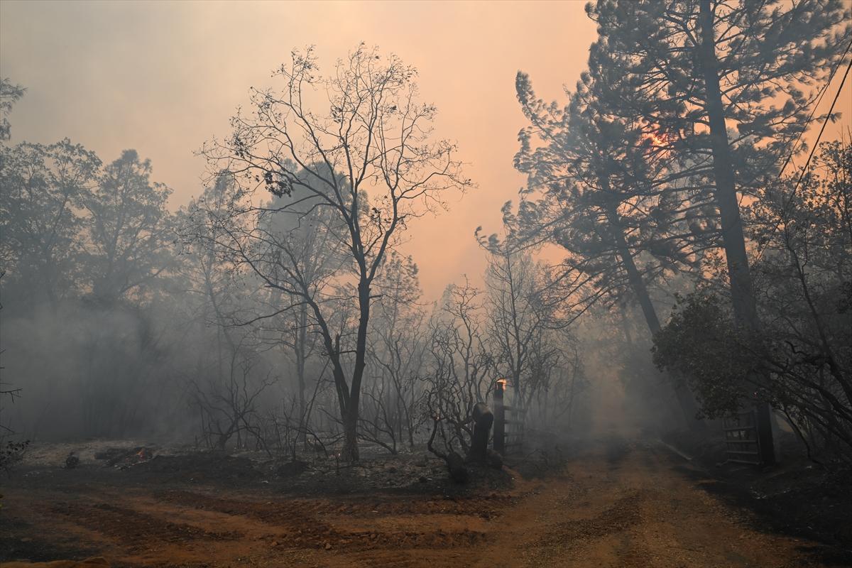 Kaliforniya'da orman yangınlarıyla mücadele