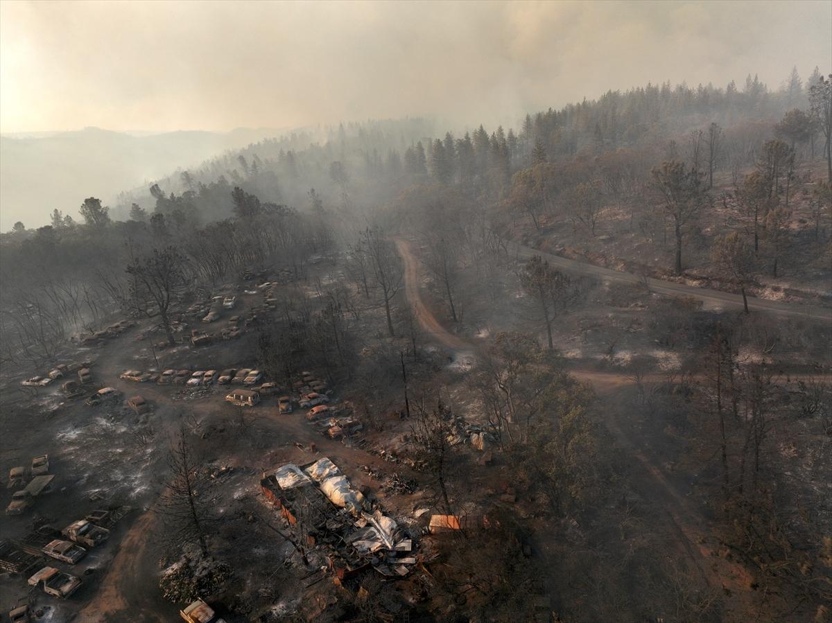 Kaliforniya'da orman yangınlarıyla mücadele