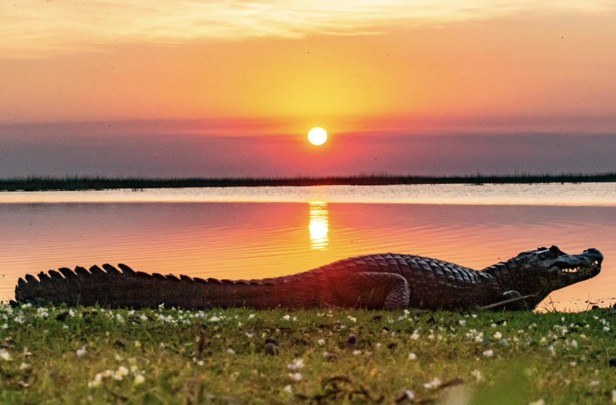 2024 yılında gezilmesi gereken harika 100 rota