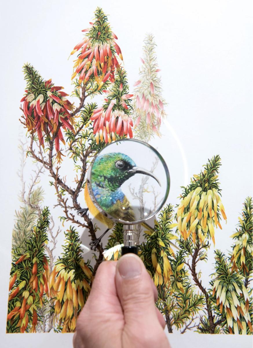 2024 yılında gezilmesi gereken harika 100 rota