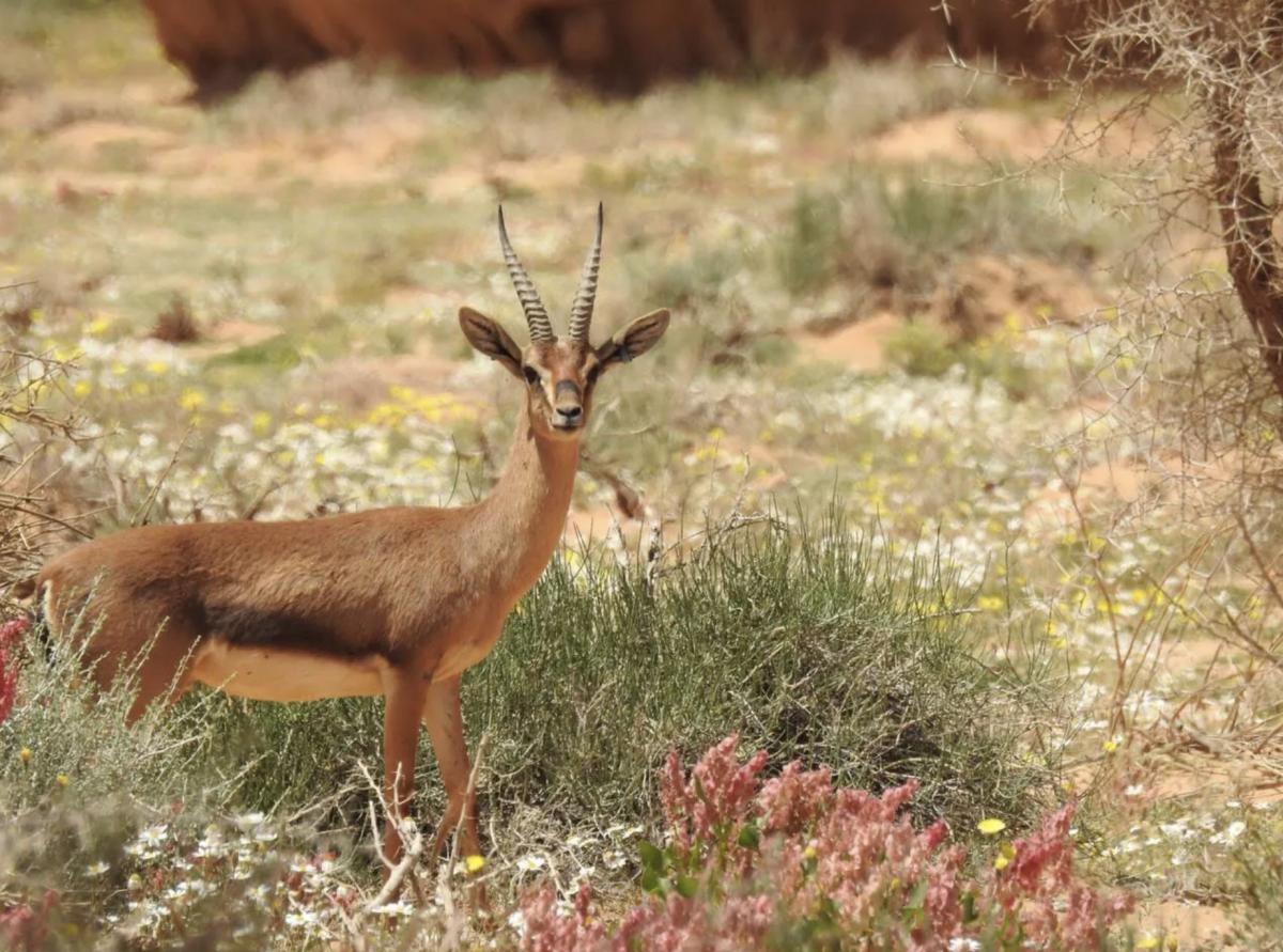 2024 yılında gezilmesi gereken harika 100 rota