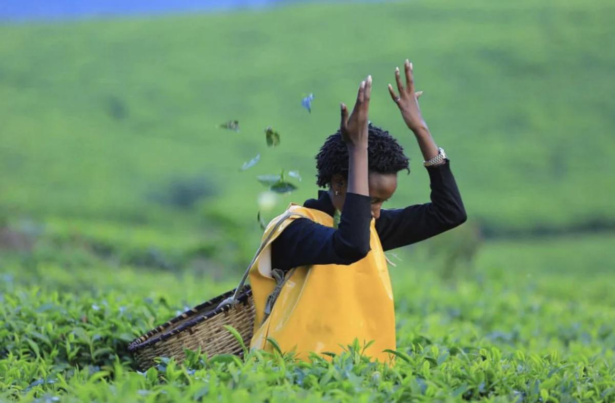 2024 yılında gezilmesi gereken harika 100 rota