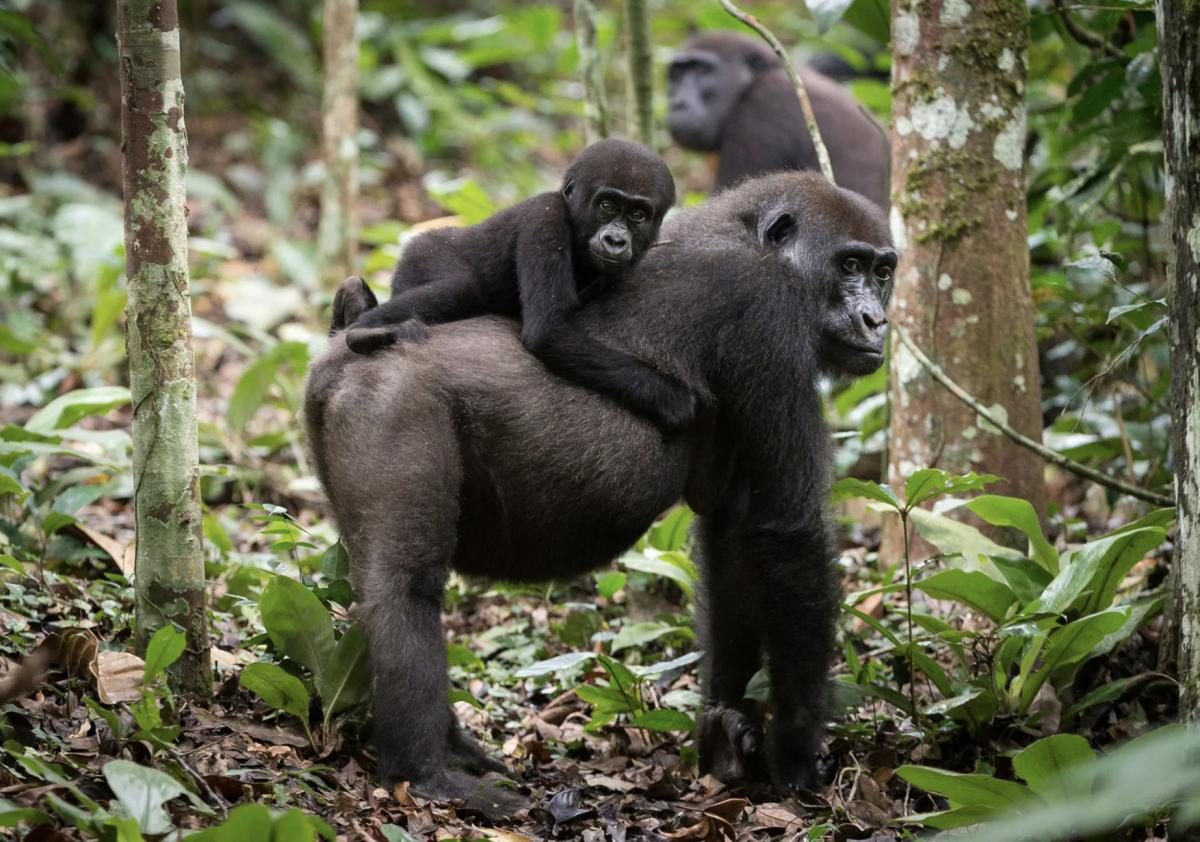 2024 yılında gezilmesi gereken harika 100 rota
