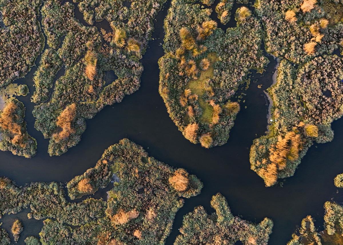 İzmir'in keşfedilmemiş güzelliği: Çakalburnu Lagünü