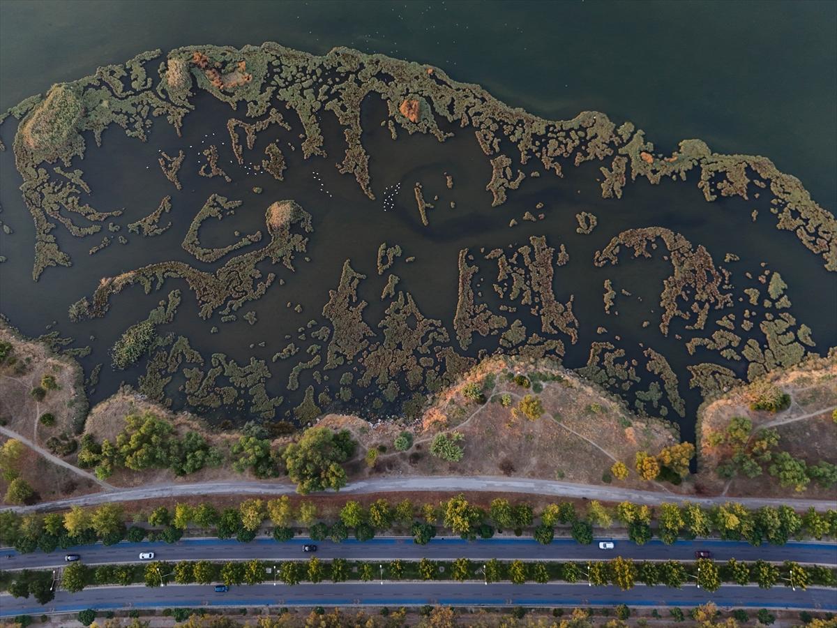 İzmir'in keşfedilmemiş güzelliği: Çakalburnu Lagünü
