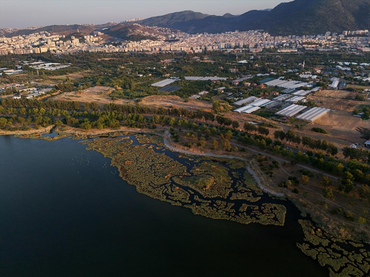 İzmir'in keşfedilmemiş güzelliği: Çakalburnu Lagünü