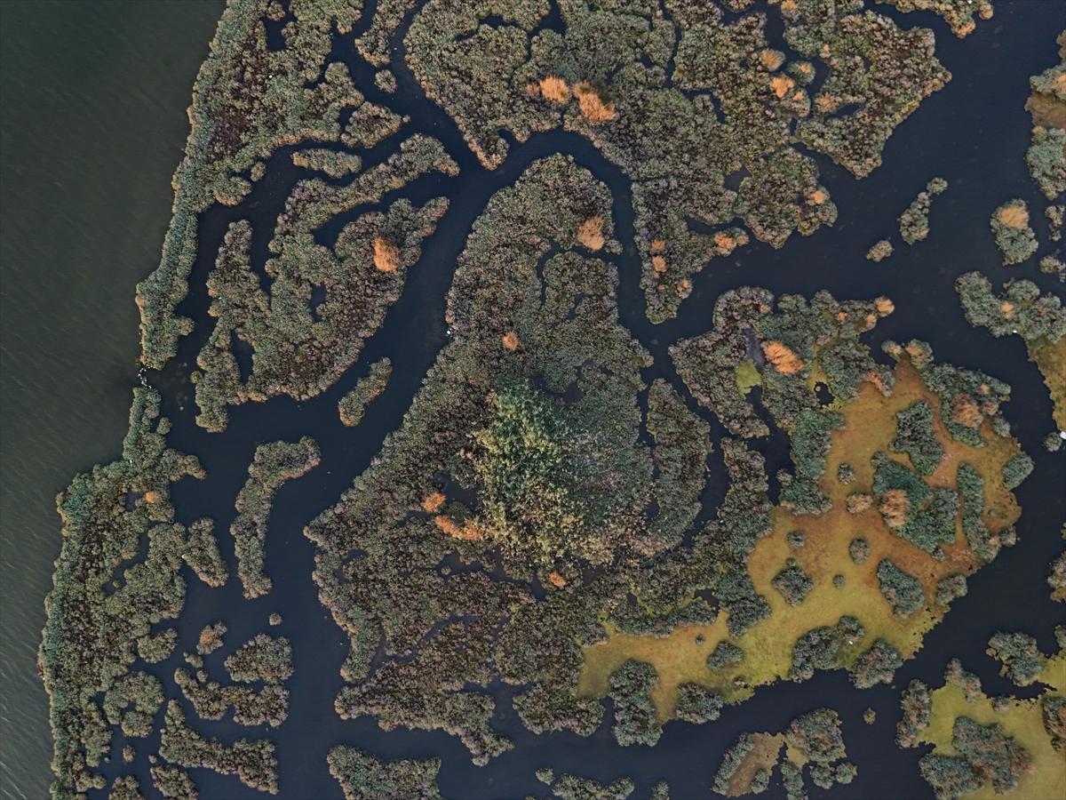 İzmir'in keşfedilmemiş güzelliği: Çakalburnu Lagünü