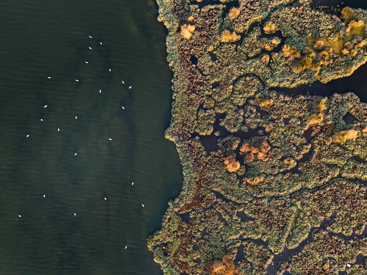 İzmir'in keşfedilmemiş güzelliği: Çakalburnu Lagünü