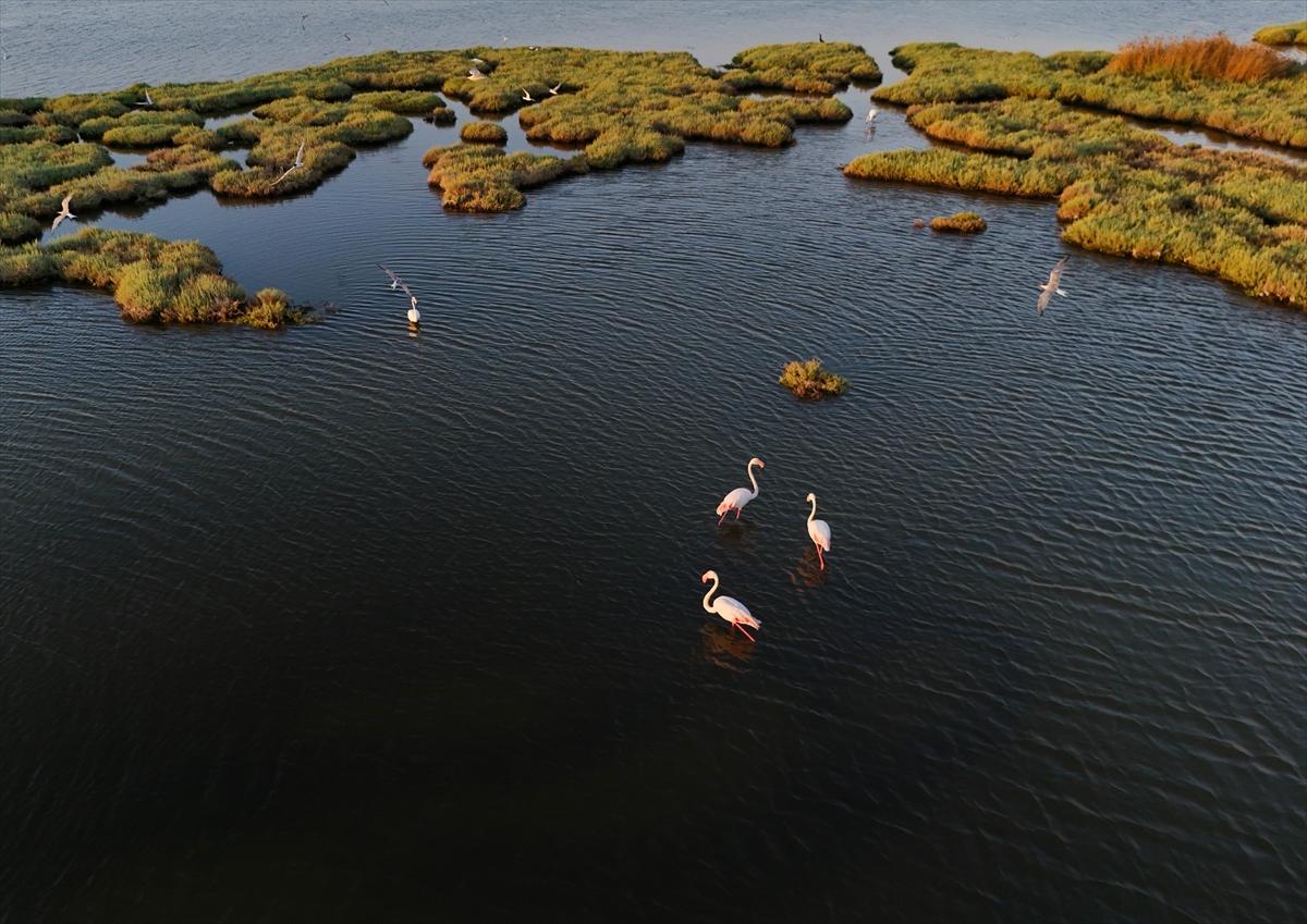 İzmir'in keşfedilmemiş güzelliği: Çakalburnu Lagünü