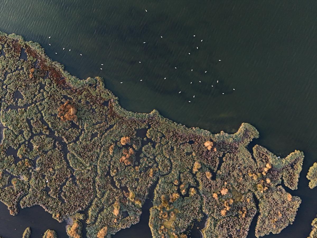 İzmir'in keşfedilmemiş güzelliği: Çakalburnu Lagünü