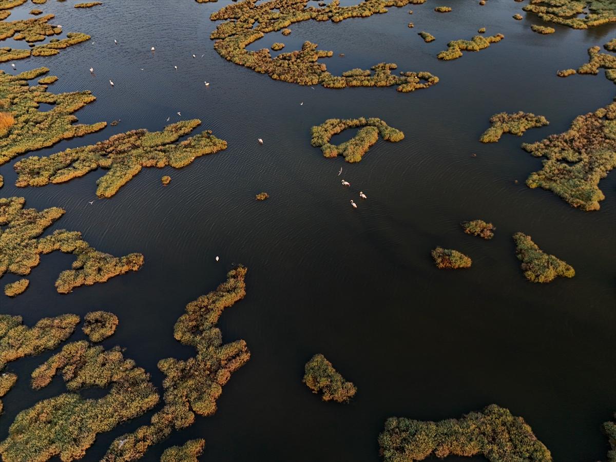 İzmir'in keşfedilmemiş güzelliği: Çakalburnu Lagünü