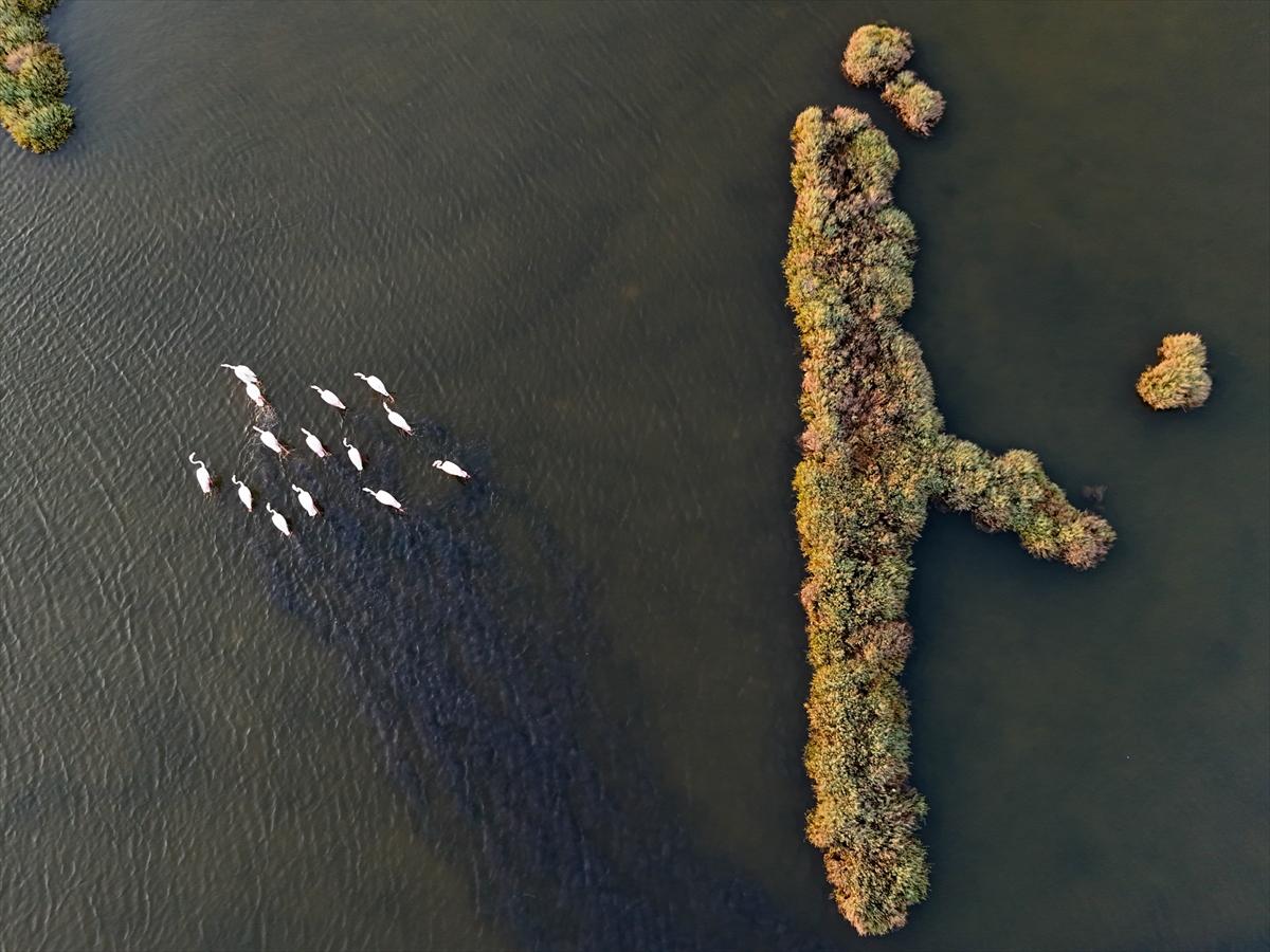İzmir'in keşfedilmemiş güzelliği: Çakalburnu Lagünü